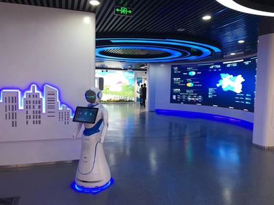 爱丽丝智能机器人 引领销售新纪元